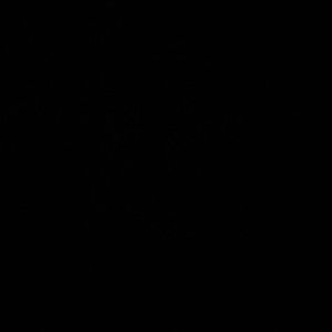 Meet your Posher, Addison